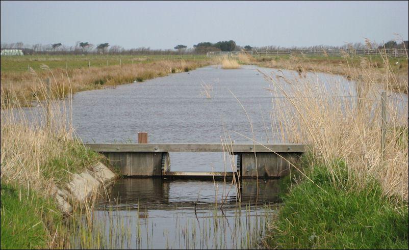 Landschaft auf Ameland