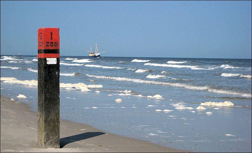 Landschaft auf Ameland