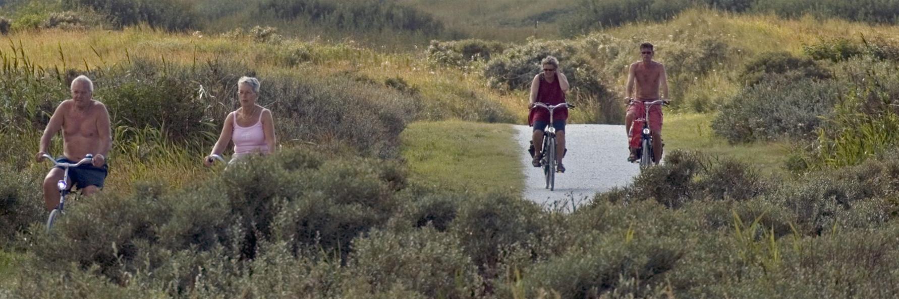 radfahrer_neu